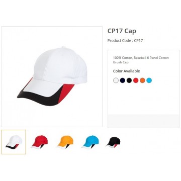 CP17 Series Cotton Brush 6 Panel Cap