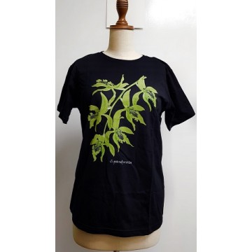 Customized Apparels