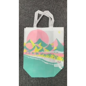 Customized PLA Bag