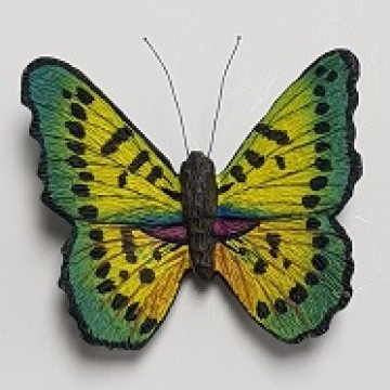 FM-05 Butterfly Magnet