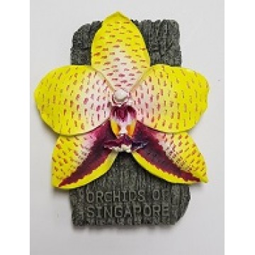 FM-10 Orchid Magnet