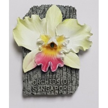 FM-13 Orchid Magnet