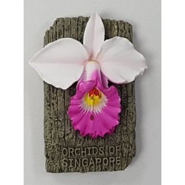 FM-20 Orchid Magnet