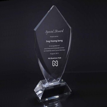 CA20 Grand Shield Crystal Award