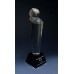 Trophies / Awards