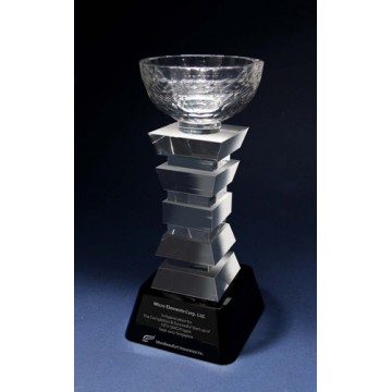 CA31 Empire Crystal Cup Crystal Award