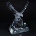 Trophies / Awards