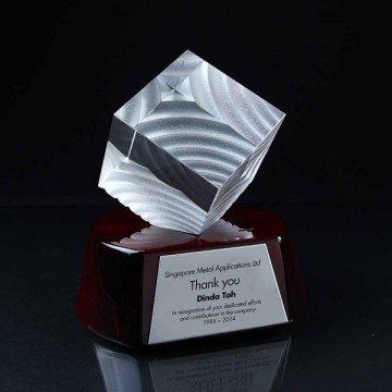 CA39C Cubic Wave on Wood Crystal Award