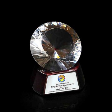 CA45 Premier Diamond Crystal Award