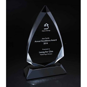Trophies / Awards