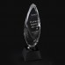 Trophies / Awards