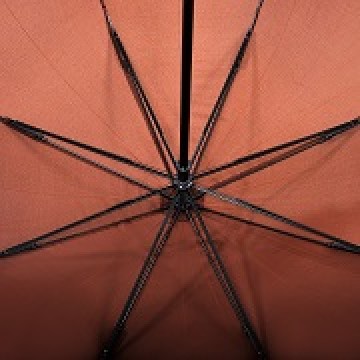 Umbrellas