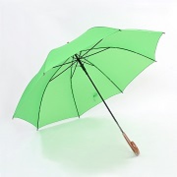 Umbrellas