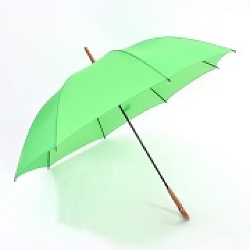 Umbrellas
