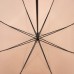 Umbrellas