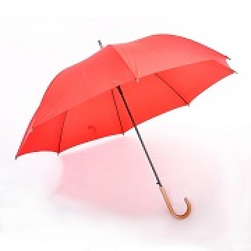 Umbrellas