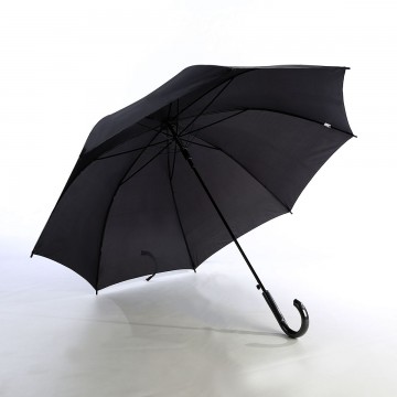 Long Umbrellas