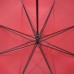 Long Umbrellas