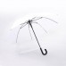 Umbrellas