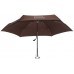 Umbrellas