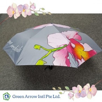Orchid Umbrellas